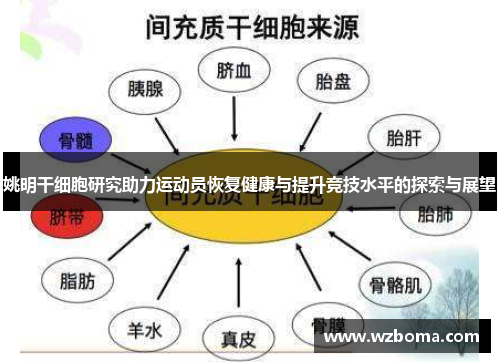 姚明干细胞研究助力运动员恢复健康与提升竞技水平的探索与展望