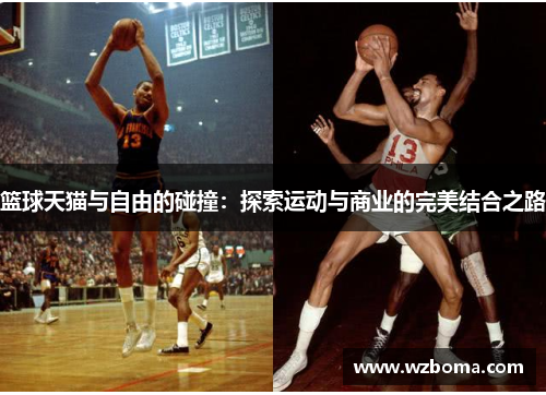篮球天猫与自由的碰撞：探索运动与商业的完美结合之路
